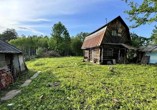 р-н Октябрьский СНТ Лесные Поляны фото