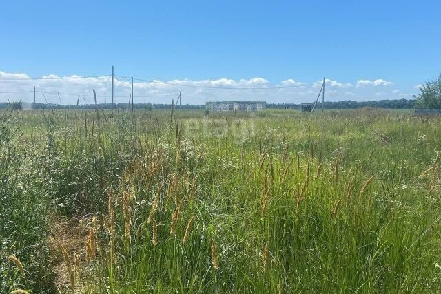 муниципальное образование Краснодар, садоводческое некоммерческое товарищество Аврора, Державная улица фото