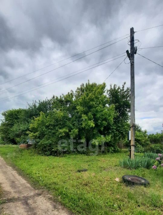 земля р-н Хохольский с Кочетовка ул Центральная фото 1