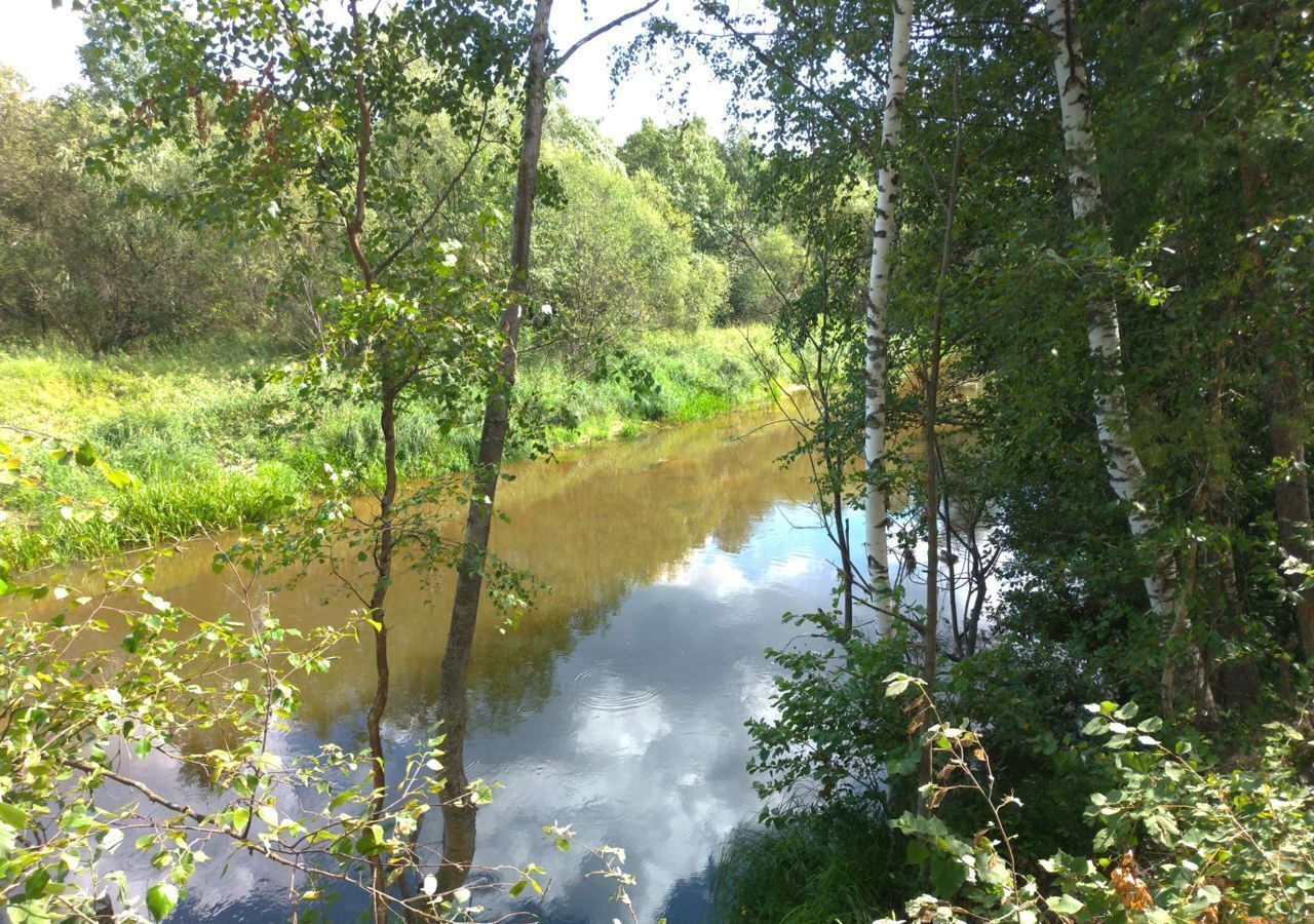 земля р-н Городецкий г Городец д. Горюшки фото 9