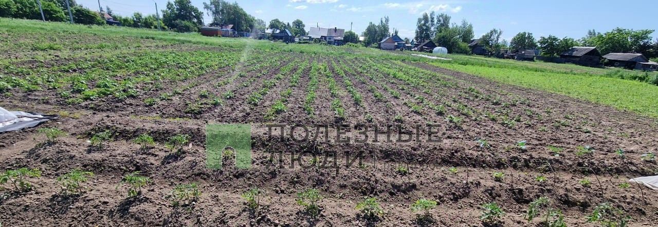 дом р-н Имени Лазо с Гродеково ул Полевая 5 фото 25