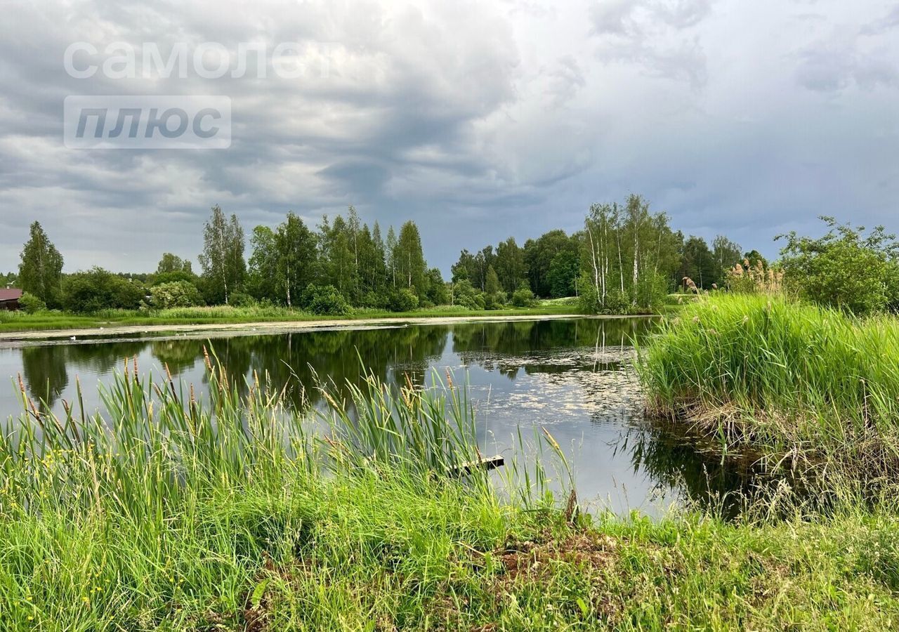 земля р-н Тосненский п Рябово Рябовское городское поселение, городской пос. Рябово фото 16