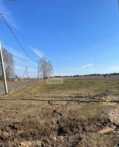 г. о. Домодедово, д. Ивановка фото