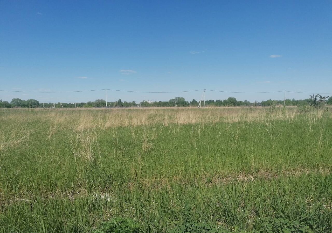 земля г Воскресенск снт Чайка 47 км, городской округ Воскресенск, Белоозёрский, Егорьевское шоссе фото 1