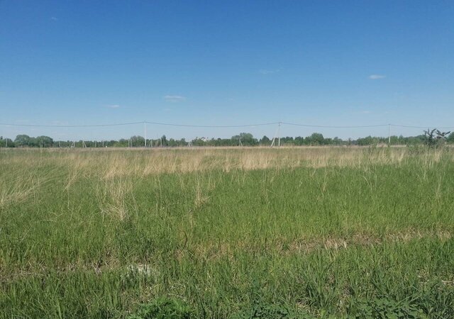 снт Чайка городской округ Воскресенск, Белоозёрский фото