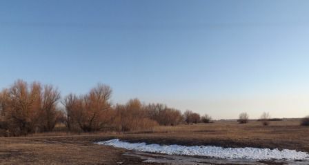земля р-н Ахтубинский с Удачное Респ Калмыкия, Цаган-Аман фото 4