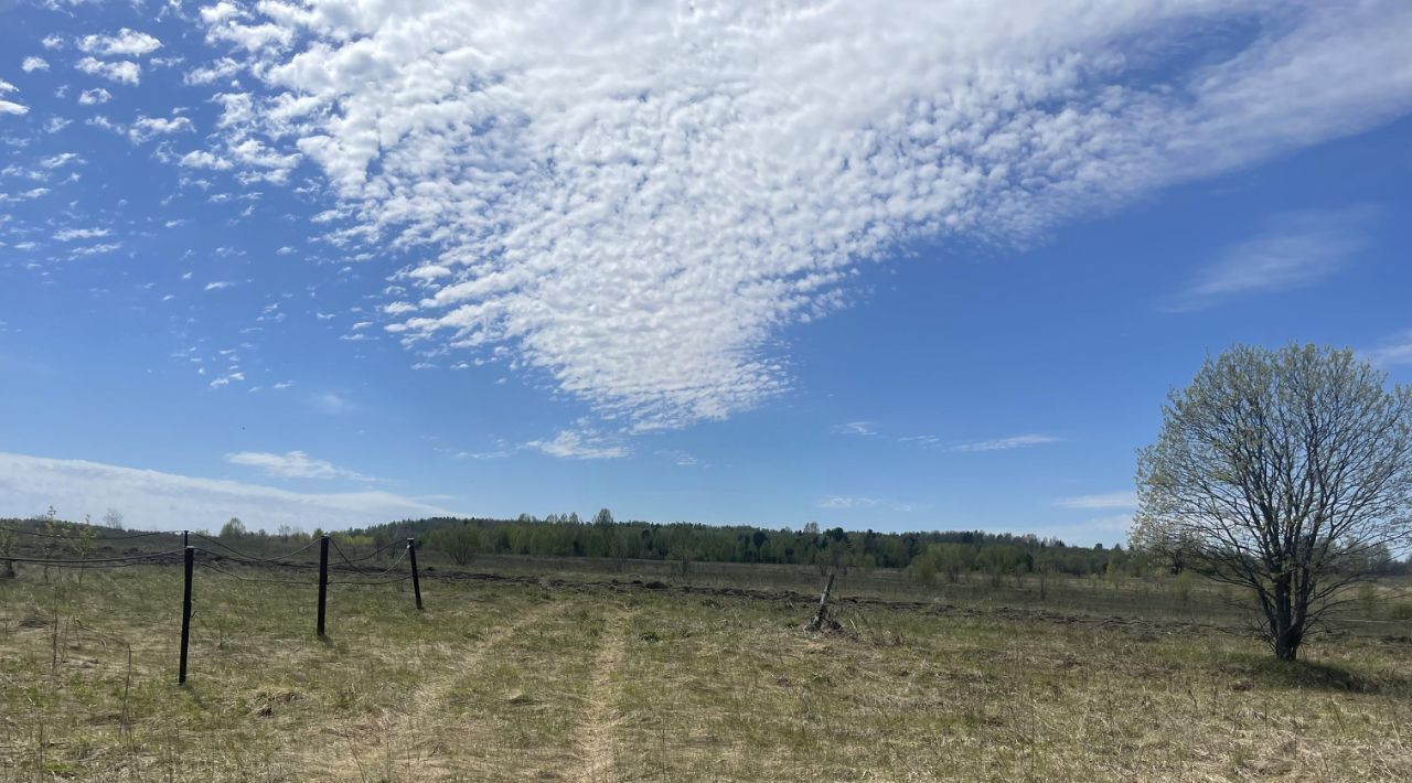 земля р-н Шалинский д Курья Староуткинск городской округ фото 3