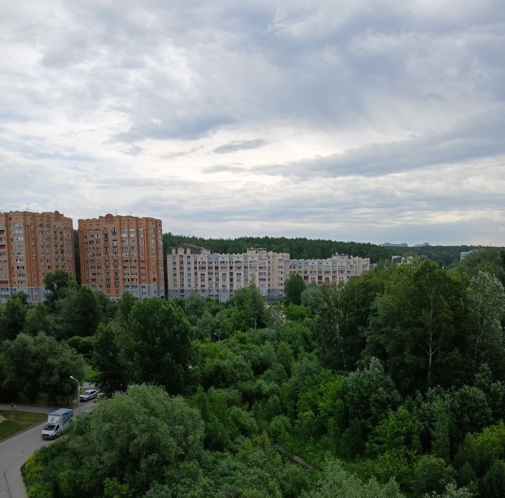 квартира г Новосибирск р-н Советский Нижняя Ельцовка Октябрьская ул Лесосечная 7 фото 7