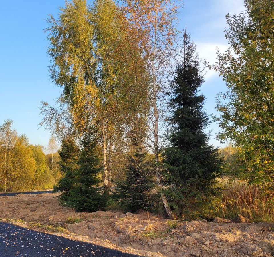 земля городской округ Дмитровский д Подосинки Деденево фото 15