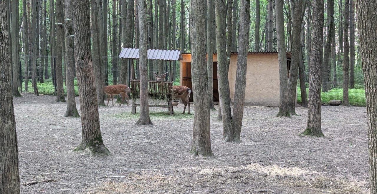 земля городской округ Ленинский д Жабкино мкр-н Булатниково, Москва, Аннино фото 11