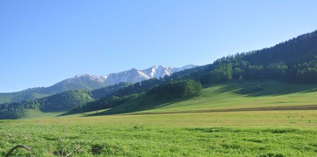 ул Центральная фото