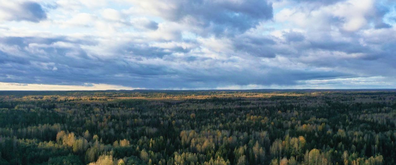 земля р-н Селижаровский д Лыткино Оковецкое сельское поселение фото 1