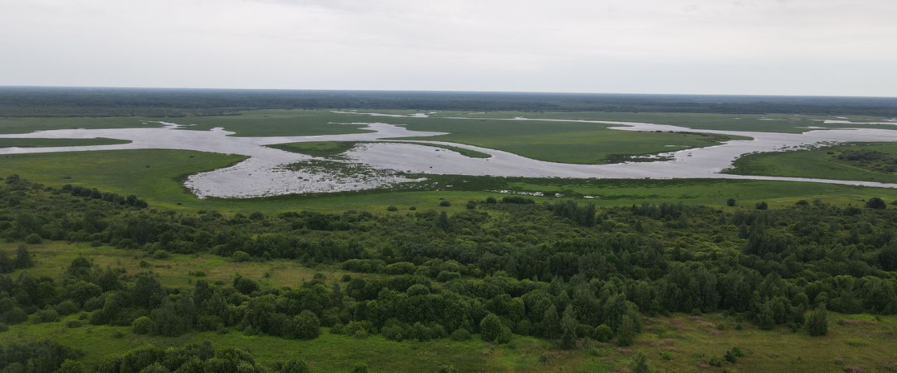 земля р-н Новгородский с/п Бронницкое фото 8