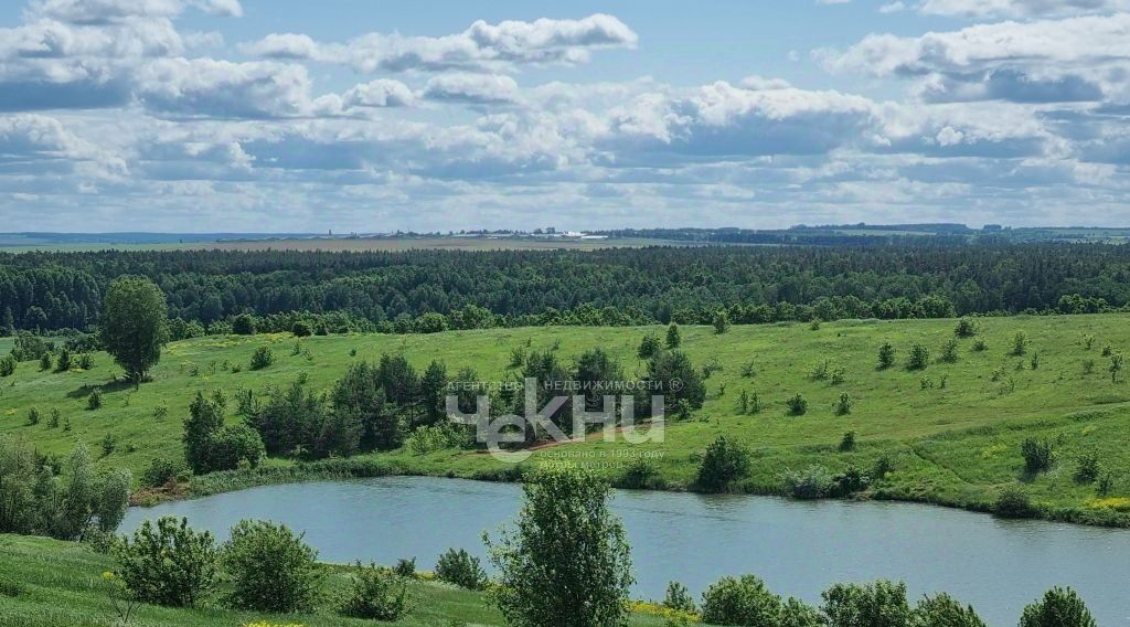 земля р-н Дальнеконстантиновский с Румянцево пер Солнечный фото 5