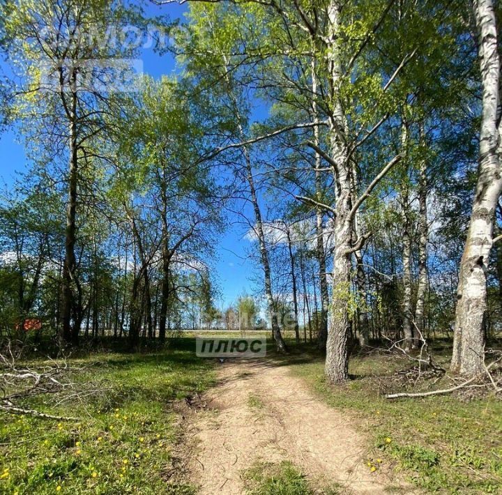 земля р-н Суздальский с Новоалександрово ул Восточная 6 фото 10