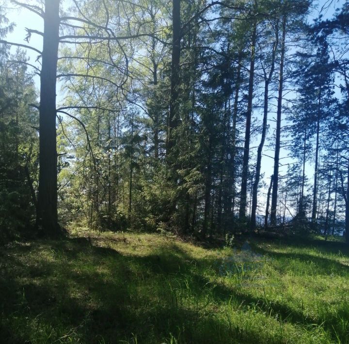 земля р-н Сокольский д Галкино ул Лесная фото 1