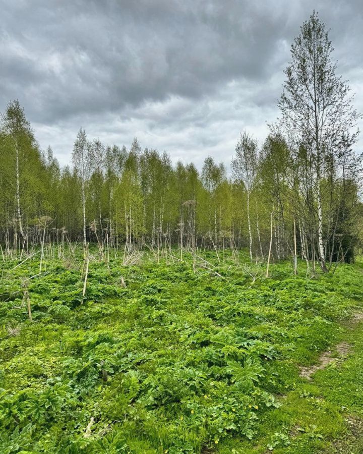 земля городской округ Дмитровский д Удино 9755 км, Икша, Рогачёвское шоссе фото 13