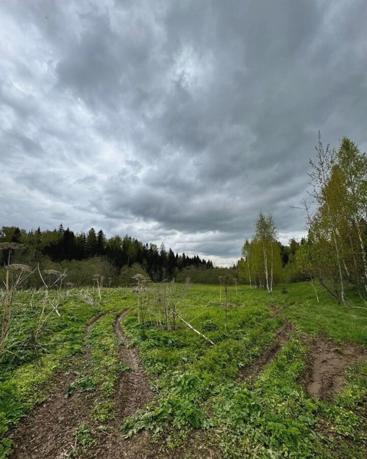 земля городской округ Дмитровский д Удино 9755 км, Икша, Рогачёвское шоссе фото 21