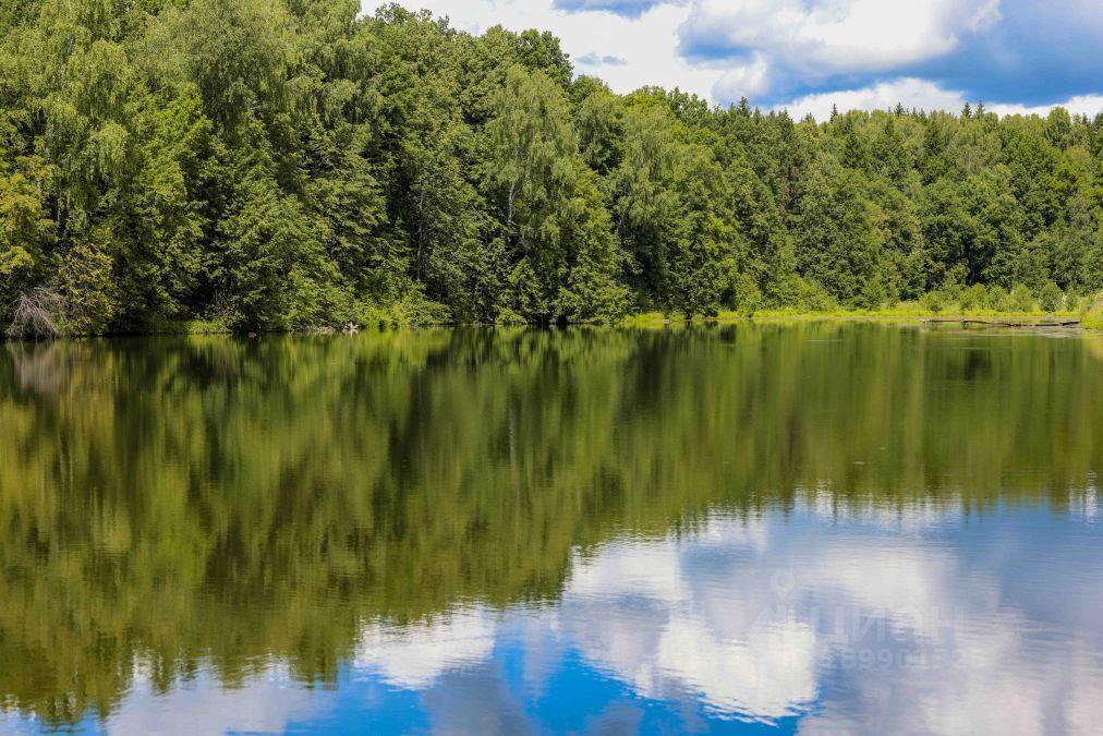 земля городской округ Домодедово Центральная улица фото 3