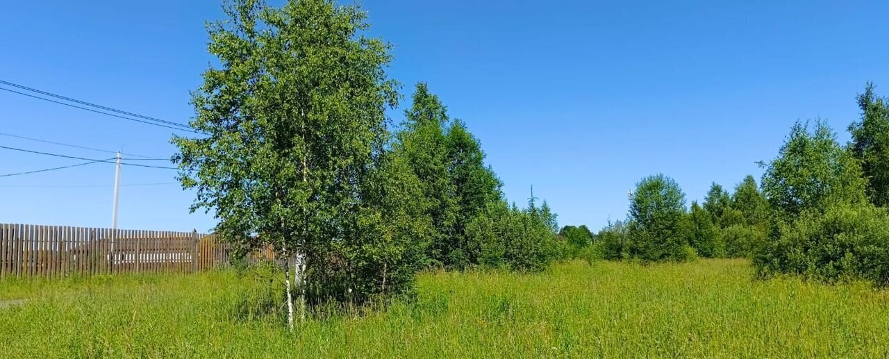 земля городской округ Дмитровский с Батюшково Деденево фото 17