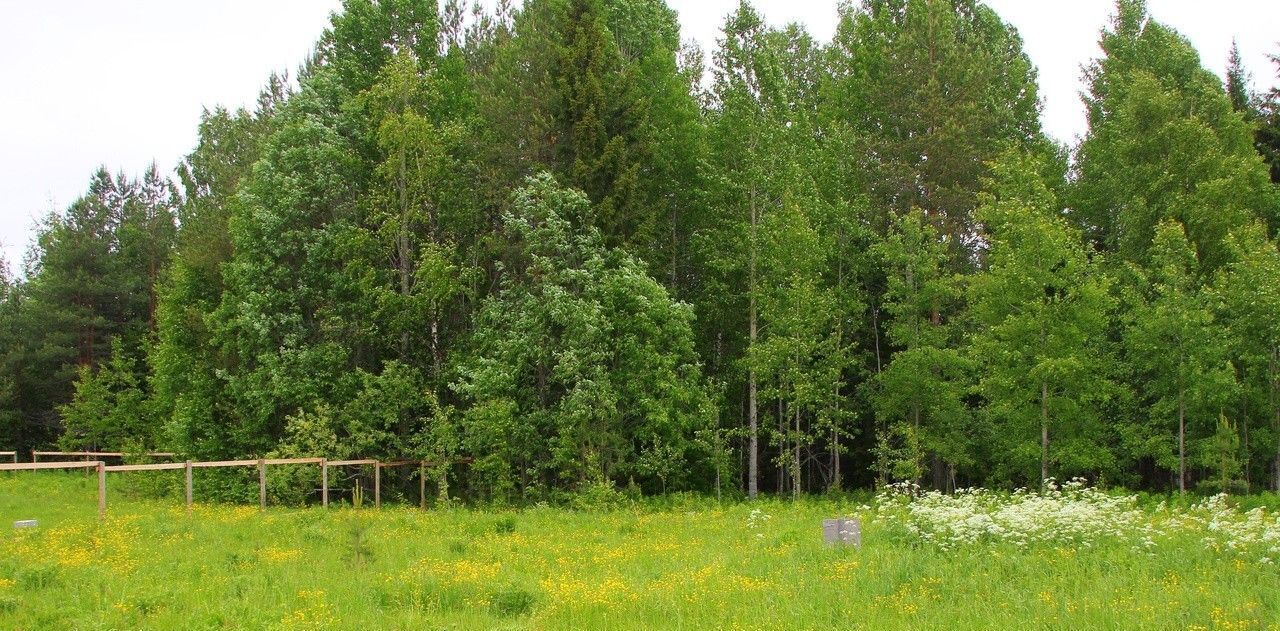 земля р-н Холмогорский д Вороновское фото 2