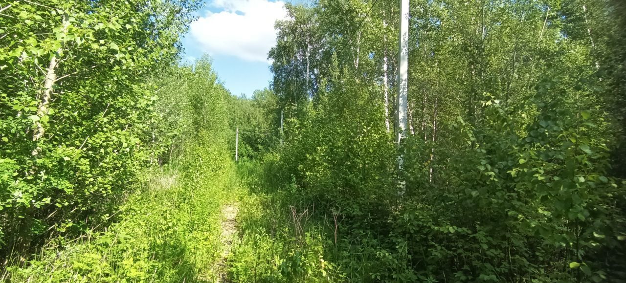 земля р-н Новосибирский Кубовинский сельсовет, ДНП Содружество, 260, Колывань фото 1