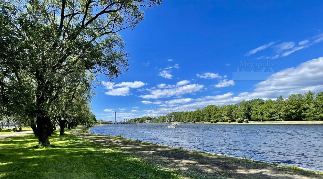 квартира г Санкт-Петербург метро Крестовский Остров пр-кт Константиновский 23 фото 22