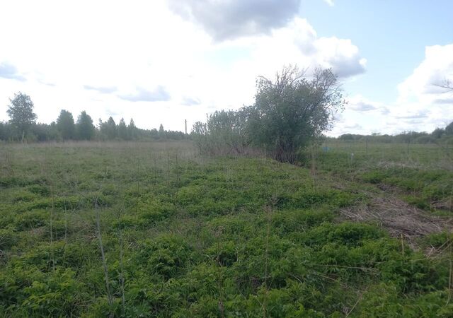 д Глинник Заостровское, Архангельск, муниципальное образование фото