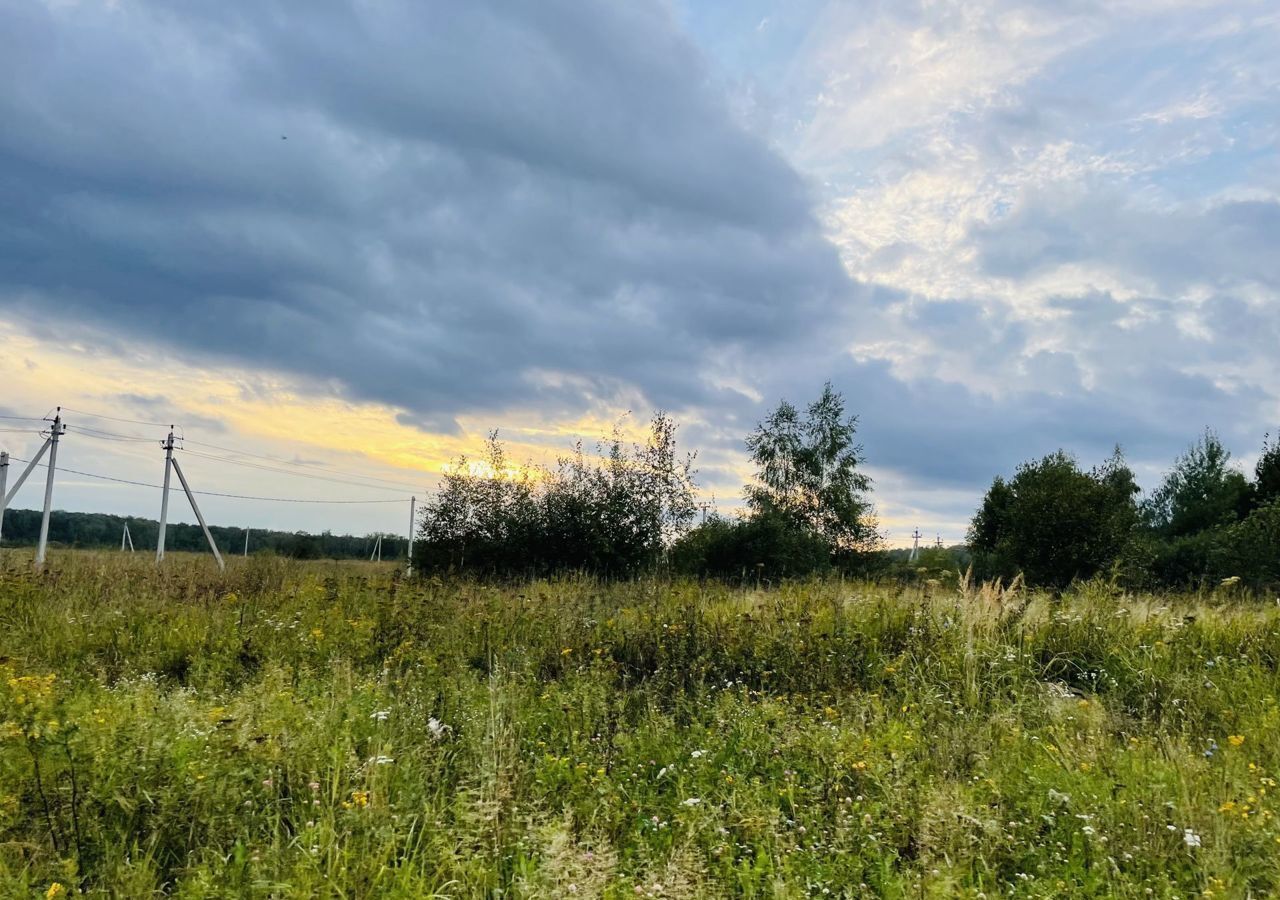 земля городской округ Пушкинский п Правдинский фото 15