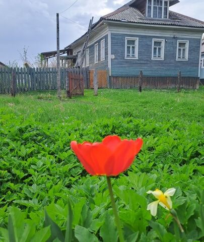 дом деревня Залахотье фото