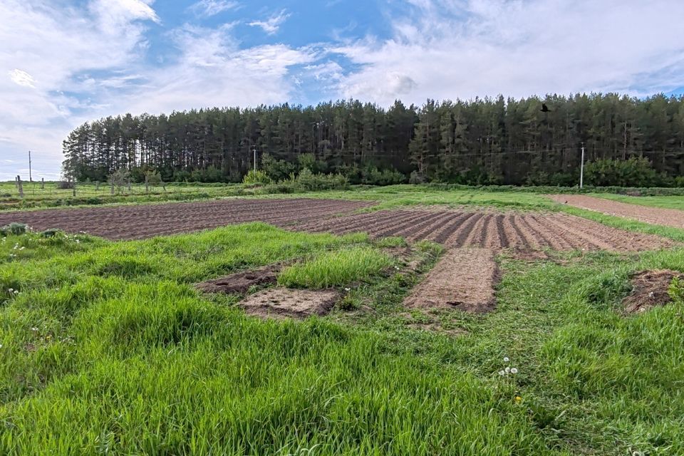 земля р-н Завьяловский д Якшур ул Механизаторов фото 3