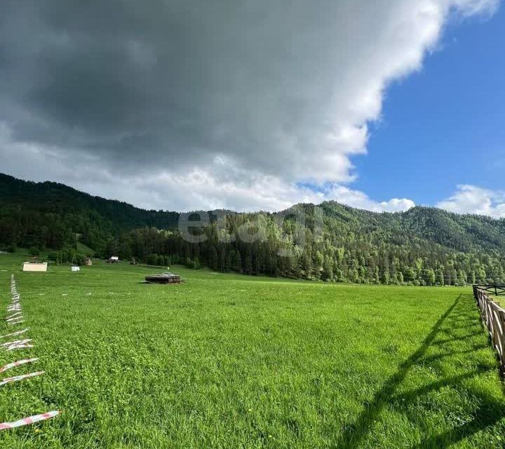 земля р-н Чемальский с Турбаза Катунь ул Сосновая фото 2