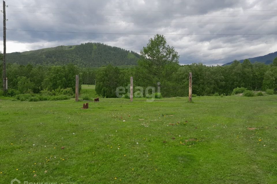 земля р-н Усть-Коксинский село Усть-Кокса фото 4