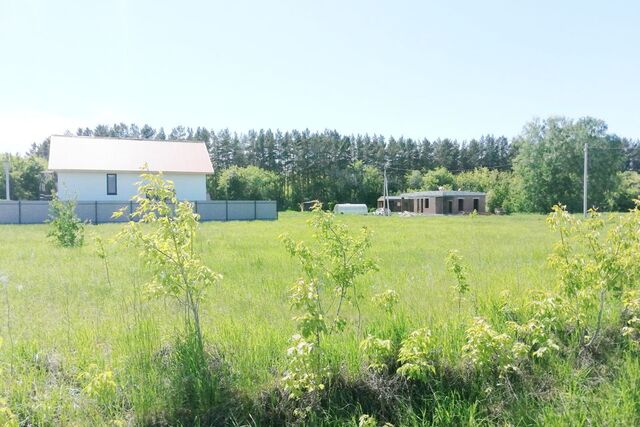 городской округ Бердск, Бердск фото