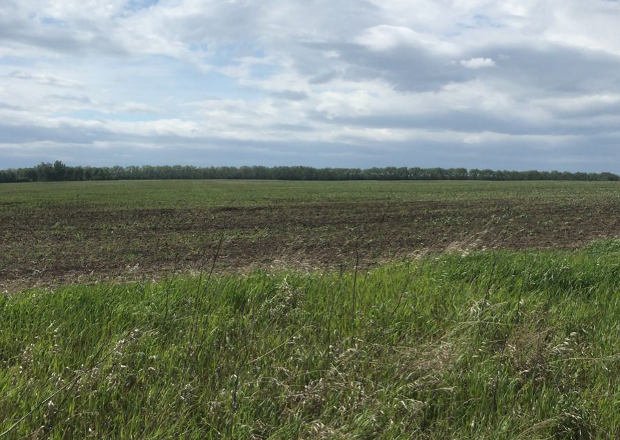 земля р-н Рыбинский село Рыбное фото 2