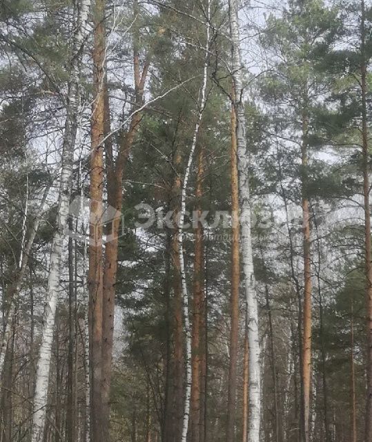 земля р-н Нижнетавдинский село Тюнево фото 1