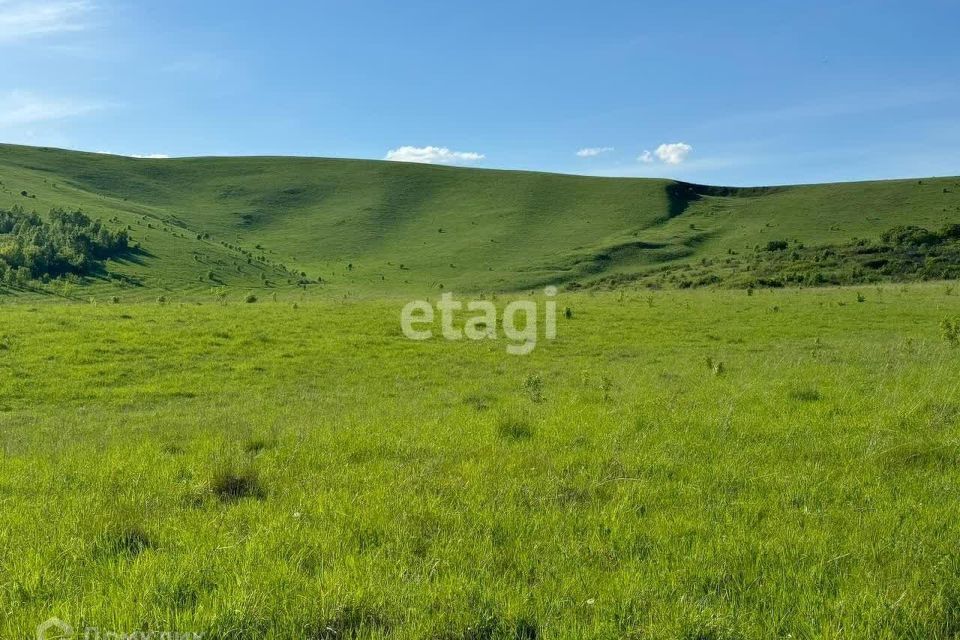 земля р-н Майминский село Подгорное фото 5