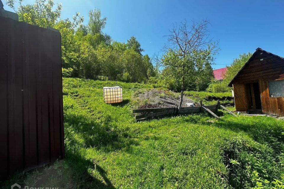 земля городской округ Горно-Алтайск, садоводческое товарищество Сосновый Бор, 74 фото 8