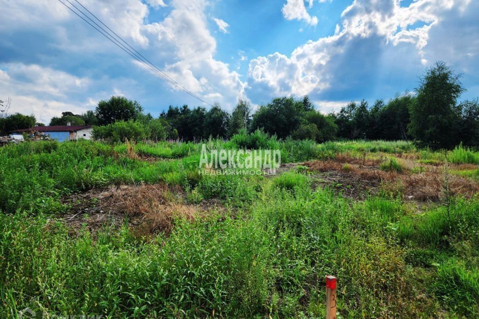 земля р-н Приозерский деревня Раздолье фото 1