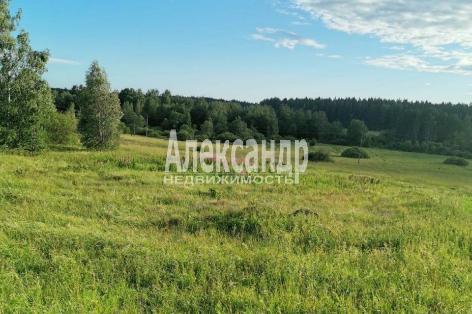 земля р-н Выборгский п Селезнево ул Центральная фото 1