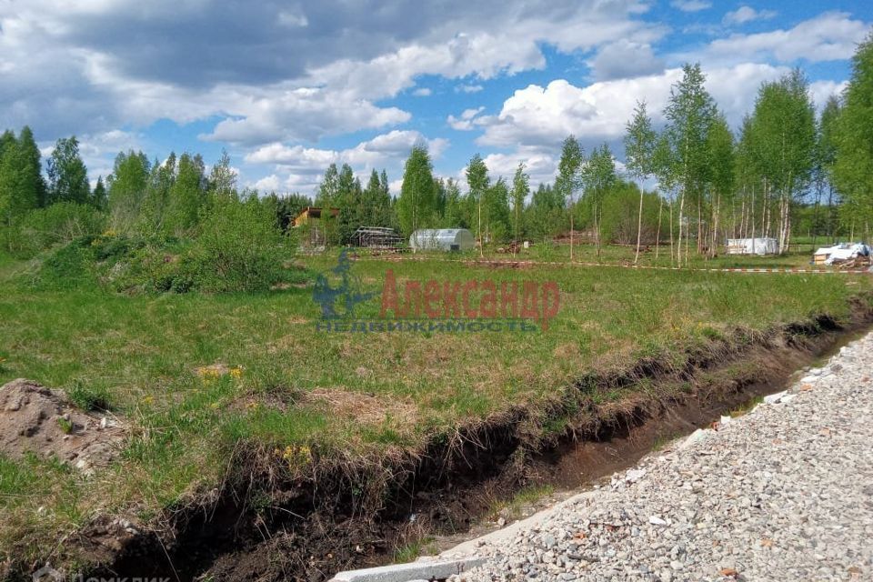 земля р-н Всеволожский Рахьинское городское поселение фото 2