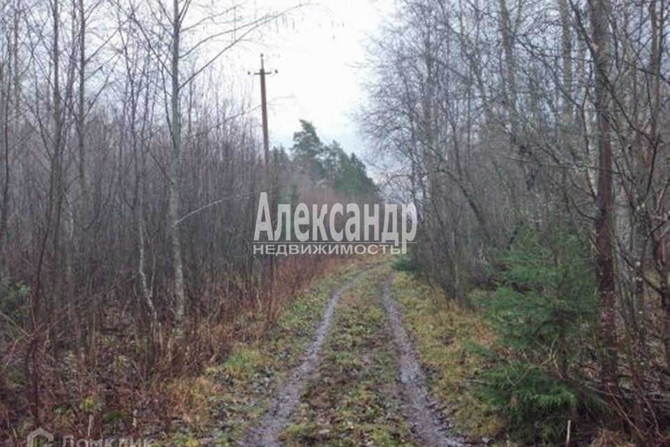 земля р-н Приозерский Ларионовское сельское поселение фото 1