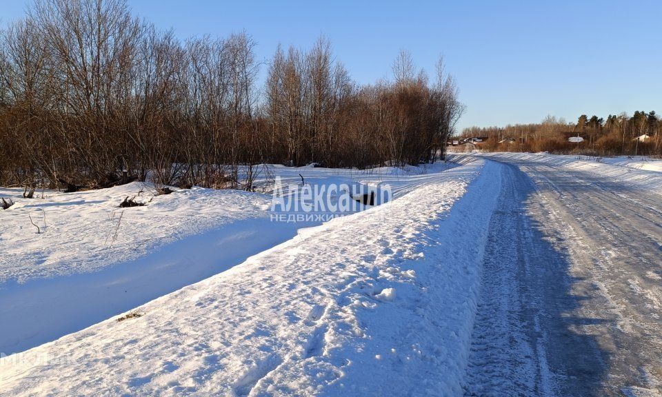 земля р-н Приозерский посёлок Ромашки фото 2