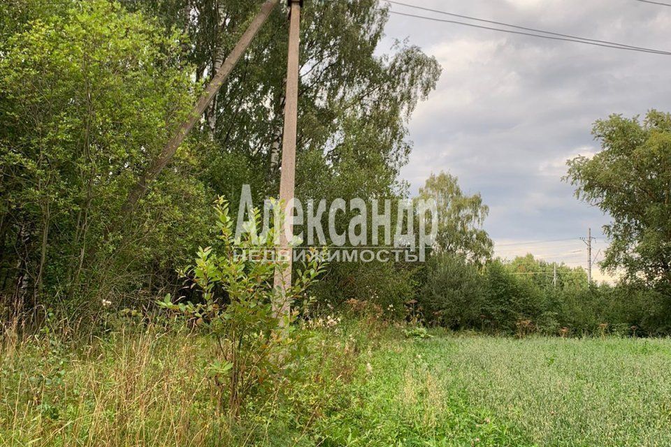 земля р-н Приозерский Раздольевское сельское поселение фото 2