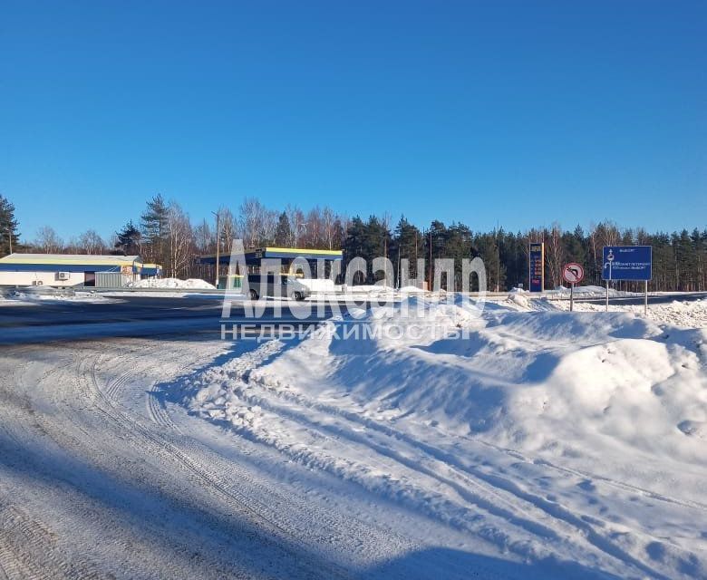 земля р-н Выборгский г Выборг ул Сосновая Выборгское городское поселение фото 3