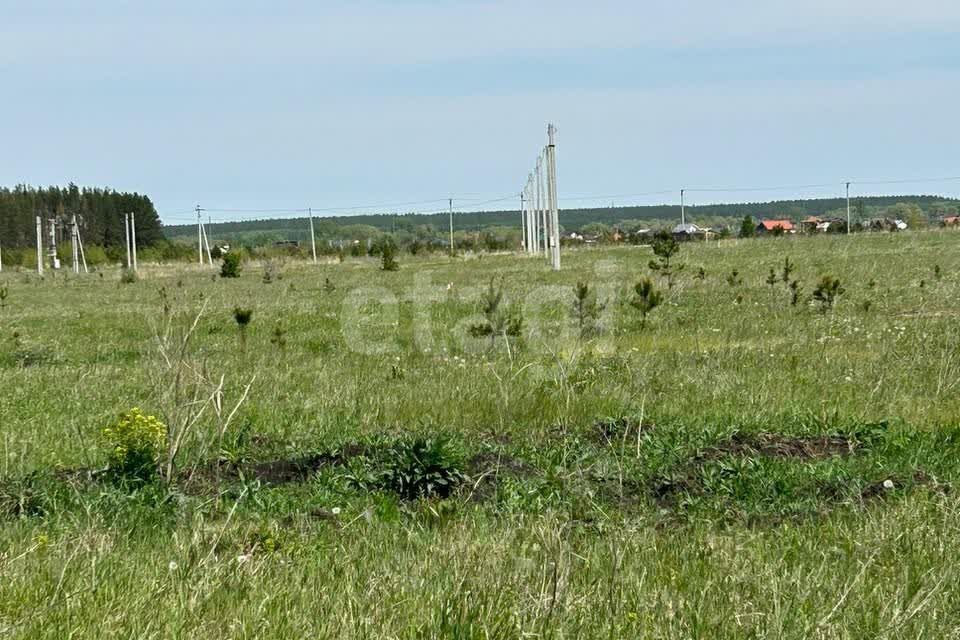 земля р-н Елабужский п Луговой ул Центральная 73 фото 10