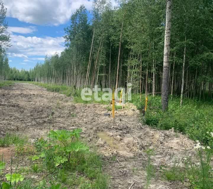 земля г Санкт-Петербург Пушкинский район, Павловск фото 4