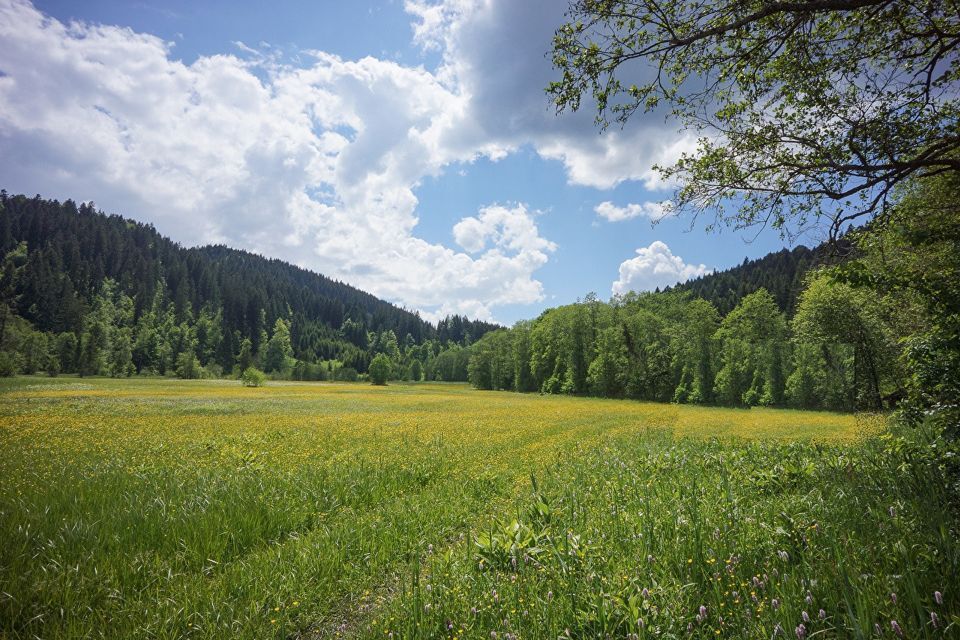 земля р-н Режевской село Арамашка фото 10