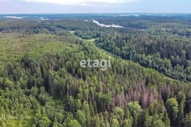 садоводческое некоммерческое товарищество Урожайное фото