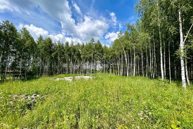 п Мещерское ул Покровское фото